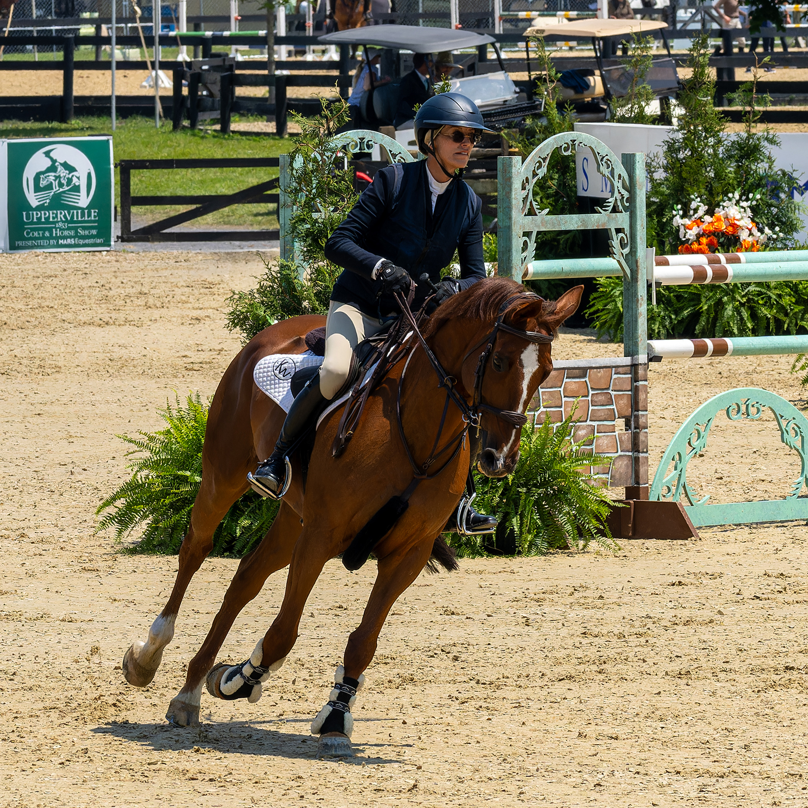 Upperville Colt & Horse Show 2025